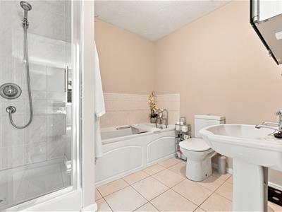 Picture 21